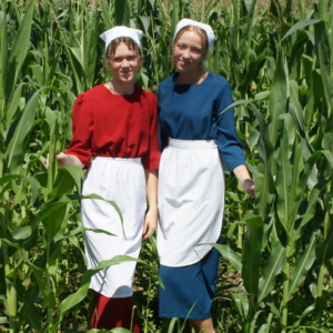 Woman The Amish Clothesline